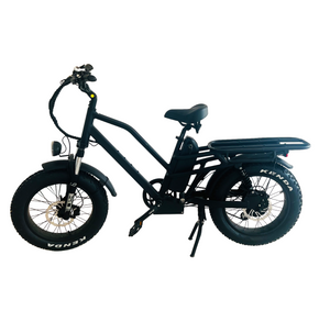 Off Road 20inch Tyre Powerful Electric Mountain Bike