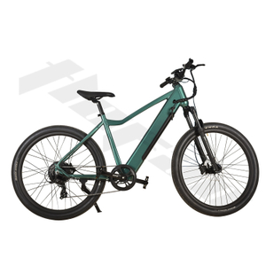 Comfortable Saddle Not Foldable 48V Electric Mountain Bike