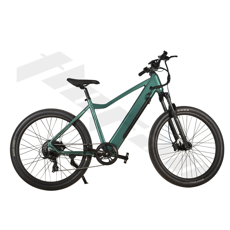 Comfortable Saddle Not Foldable 48V Electric Mountain Bike