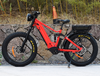 Off Road with Removable Battery Specialized Electric Mountain Bike