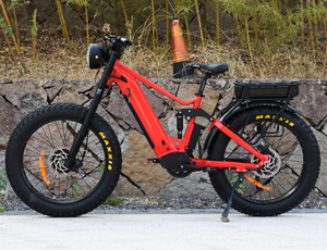 Off Road with Removable Battery Specialized Electric Mountain Bike