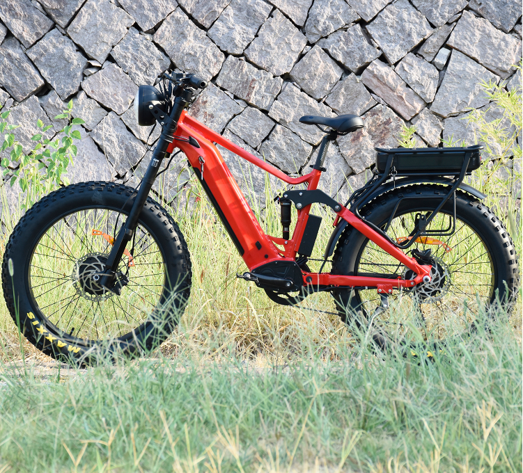 electric mountain bike