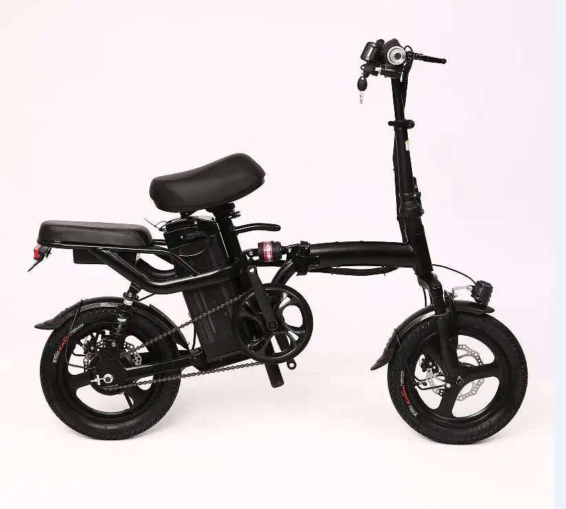 Electric Folding Bike