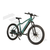 Comfortable Saddle Not Foldable 48V Electric Mountain Bike