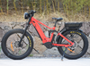 Off Road with Removable Battery Specialized Electric Mountain Bike