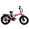 Lightweight Powerful Fat Tire Electric Folding Bike