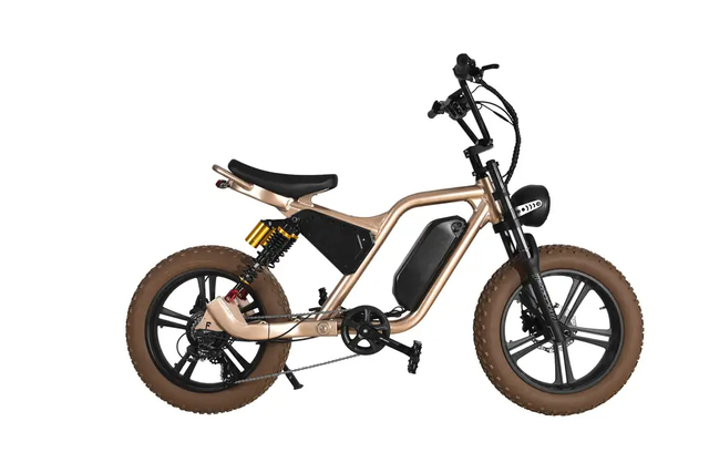 Longest Range Specialized Electric Fat Tyre Bike Supplier