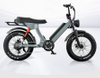 Casual Riding 500W Efficient Electric Mountain Bike