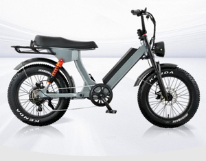 Casual Riding 500W Efficient Electric Mountain Bike