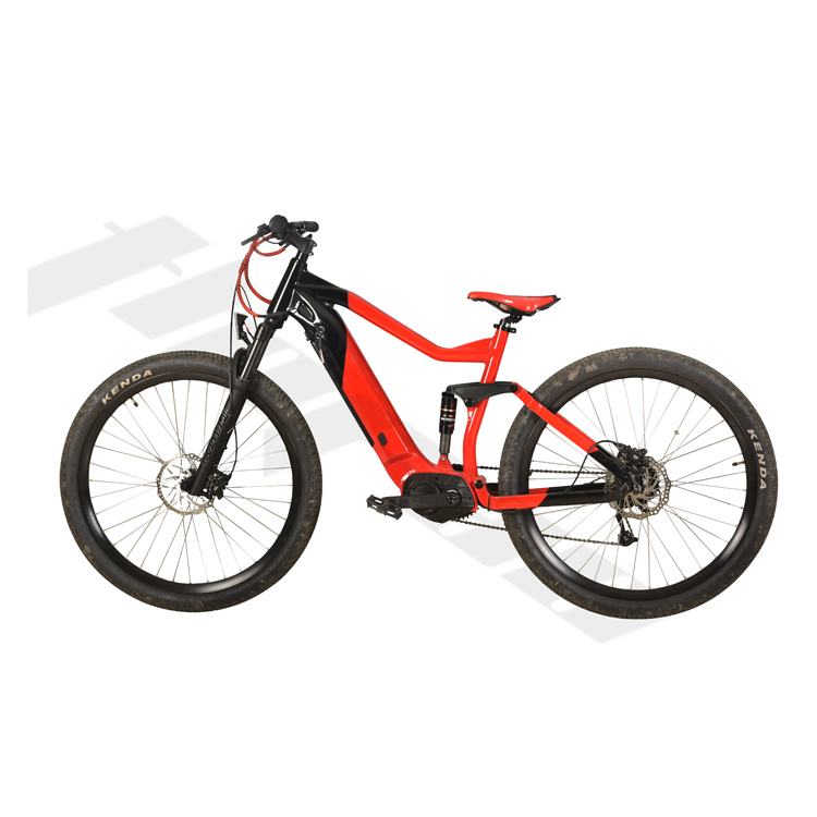 electric mountain bike