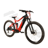 Club Riding 500W high speed Electric Mountain Bike