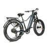 Club Riding 500W Specialized Electric Mountain Bike