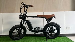 Long Range Pedal Assisted Aluminum Electric Commuter Bike