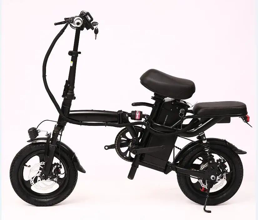 Electric Folding Bike