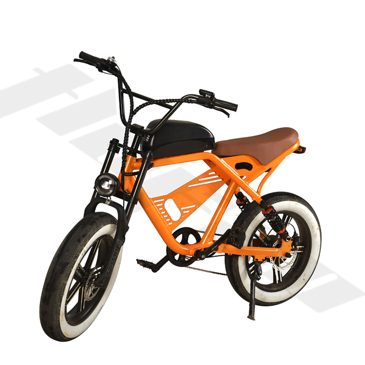 Electric Commuter Bike