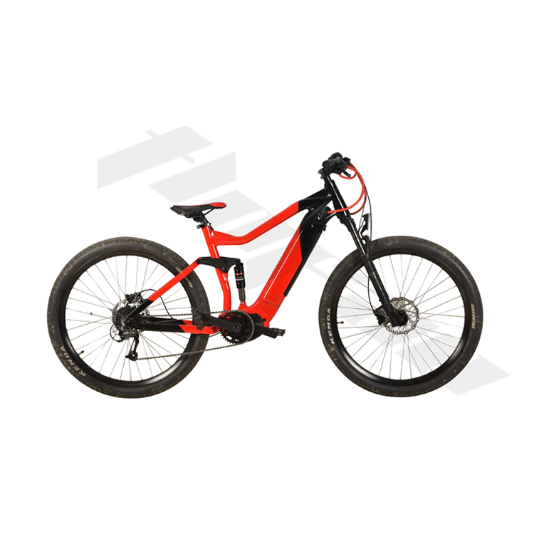 electric mountain bike