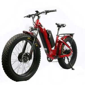 Club Riding 500W Specialized Electric Mountain Bike