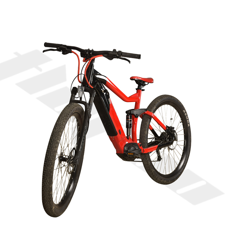 electric mountain bike