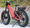 Off Road with Removable Battery Specialized Electric Mountain Bike