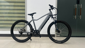 Powerful BaFang Motor Samsung Integrated Battery Electric Mountain Bike