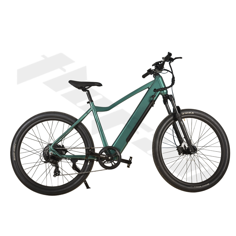 electric mountain bike