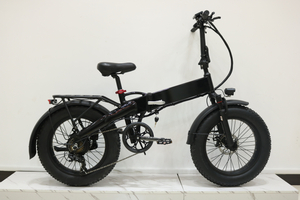 Powerful Ultra Light Unisex Electric Folding Bike