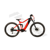 Adult Electric Mountain Bike 29*2.4