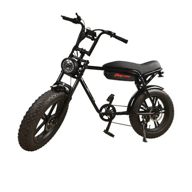 All-Terrain Adventure: TLOFAO F3 Electric Fat Bike - Ergonomic Design, LCD Display, And LED Headlights