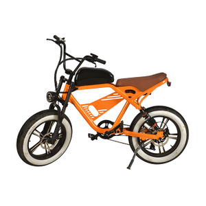 Recreational Cycling for Adults Aluminum Rear Motor Electric Commuter Bike