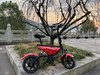 City commute 250W portable Electric Folding bike