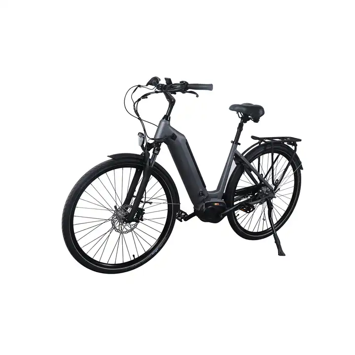 Commuting Efficient Aluminum Alloy Electric Mountain Bike