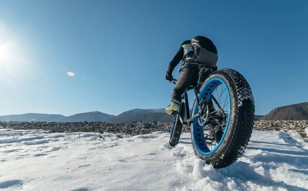 electric fat tyre bike wholesale 