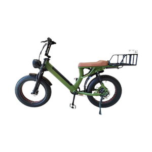 Electric Cargo Bicycle Long Range E-Bike for Adult with 500W Brushless Motor 7 Speed Gear