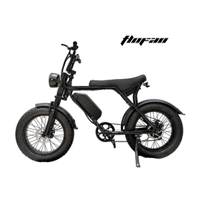 T-V8 Electric Bike 20*4'' Wheel 350W Motor 48V 13Ah Battery 25km/h Max Speed 40-50 km Range per power