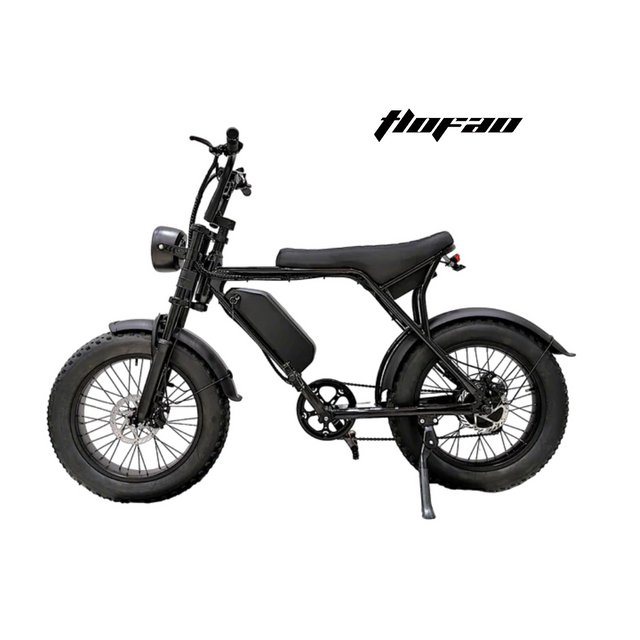 T-V8 Electric Bike 20*4'' Wheel 350W Motor 48V 13Ah Battery 25km/h Max Speed 40-50 km Range per power