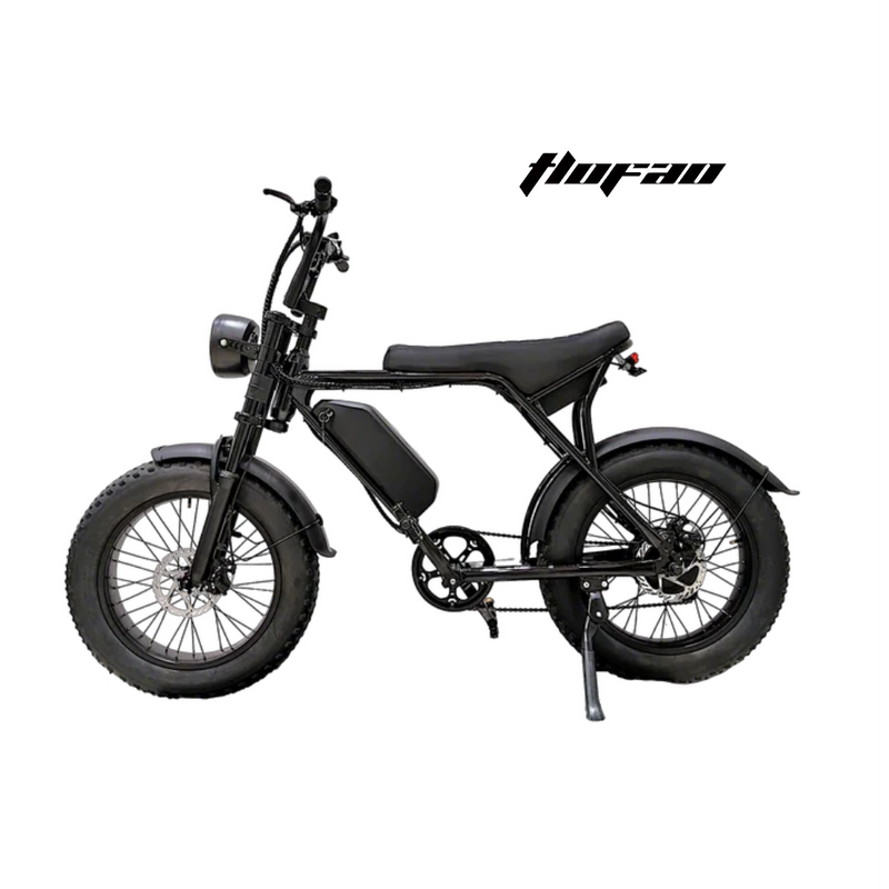 T-V8 Electric Bike 20*4'' Wheel 350W Motor 48V 13Ah Battery 25km/h Max Speed 40-50 km Range per power