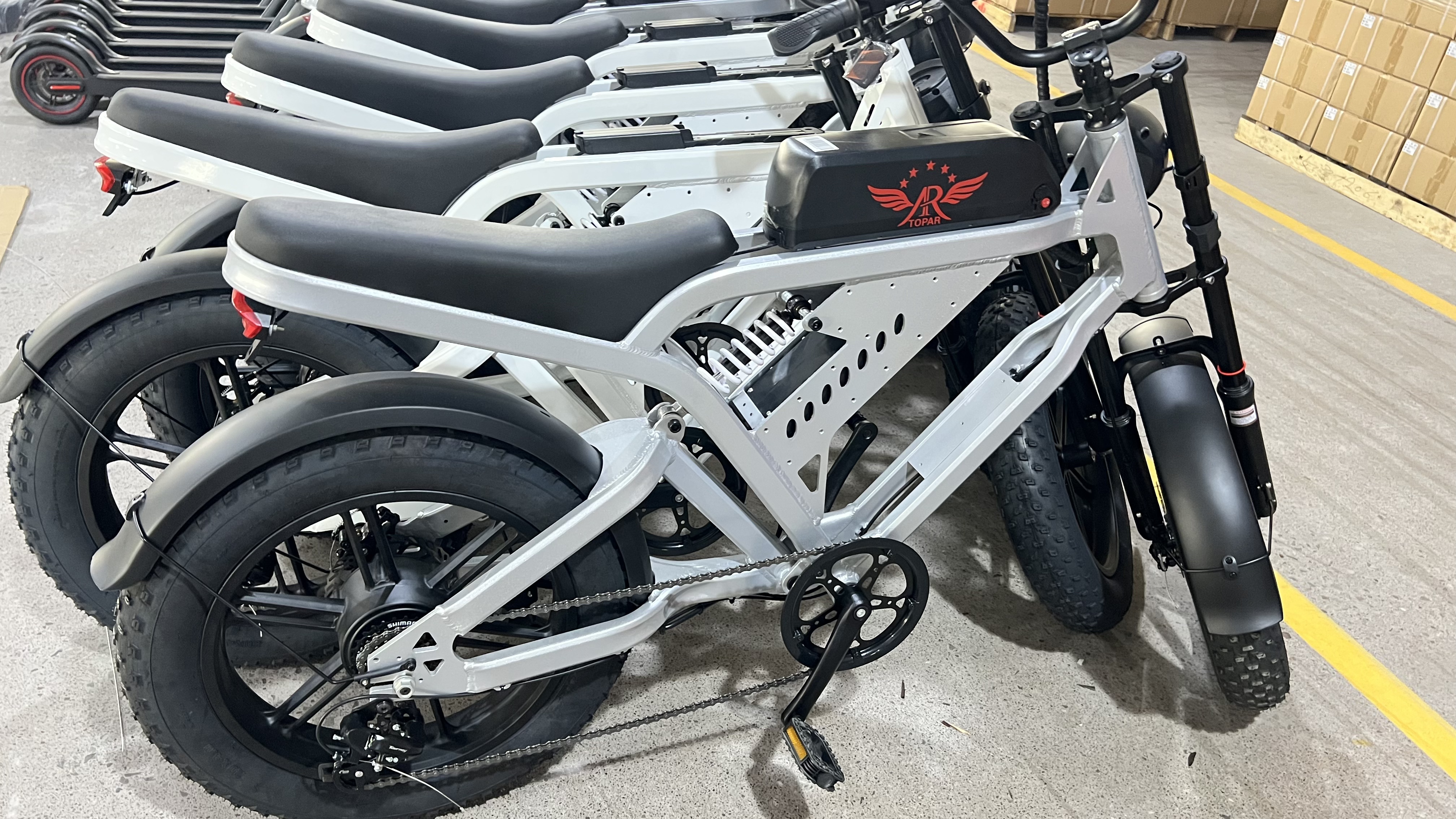 Specialized Wholesale Customizable Electric Fat Bike