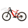 Adult Electric Mountain Bike 29*2.4