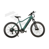 Powerful Integrated Battery Customizable Electric Mountain Bike