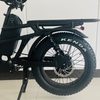 Electric Cargo Bike 500W Motor 48V 15.6ah Battery Removable 40 km/h Max Speed 55-65 km Range per power