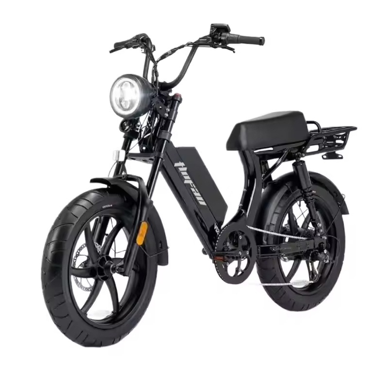 Electric City Bike 750W Motor 48V 15.6ah Battery 6061 Aluminum Alloy with Rear Rack