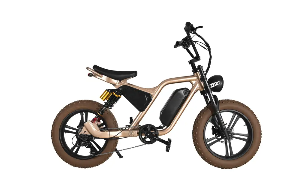 TLOFAO F5 Electric-Assist Mountain Bicycle: Anti-Slip Fat Tires, Shock-Absorbing Fork, Ergonomic Seat, & Durable Aluminum Alloy Body