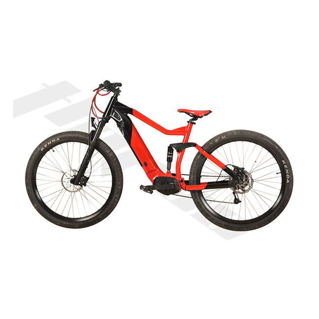 48V MID-Motor Integrated Battery Electric Mountain Bike