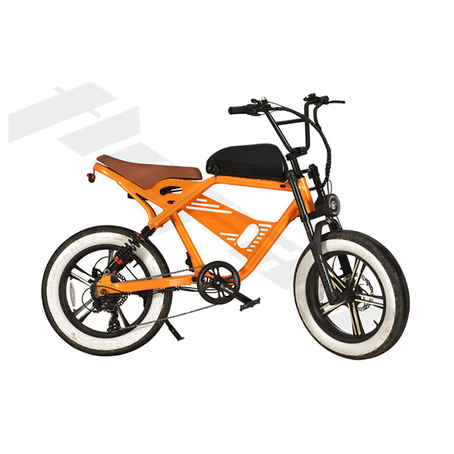 Recreational Cycling for Adults Aluminum Rear Motor Electric Commuter Bike