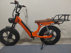 Long Range with Rack Rear Motor Electric Commuter Bike