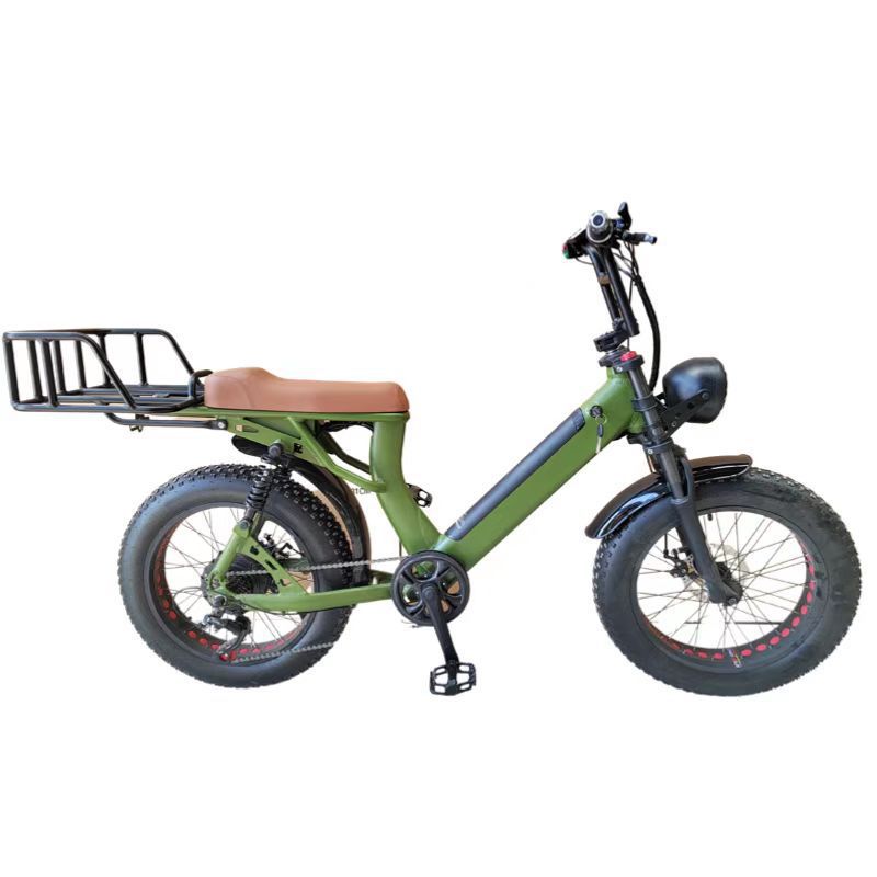 Electric Cargo Bicycle Long Range E-Bike for Adult with 500W Brushless Motor 7 Speed Gear