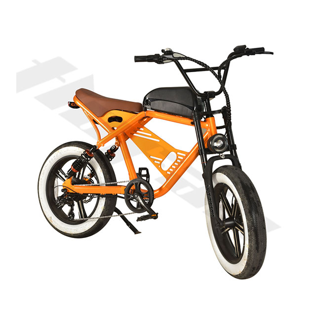 Recreational Cycling for Adults Aluminum Rear Motor Electric Commuter Bike