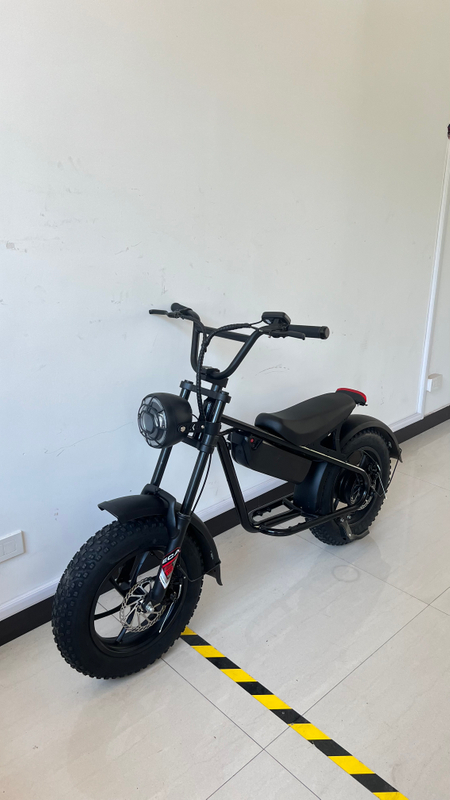 for Kids Comfortable High Quality Electric Commuter Bike