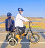 4 Wheels Urban Ebike unisex Electric Folding Bike