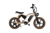 Fitness Customizable Aluminum Alloy Electric Mountain Bike